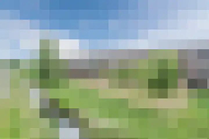 Buitenhof 23 Uithoorn thumbnail 4