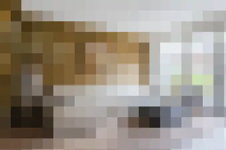 Buitenhof 23 Uithoorn thumbnail 6