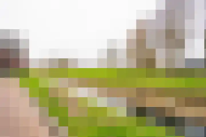 Buitenhof 26 Meteren thumbnail 34