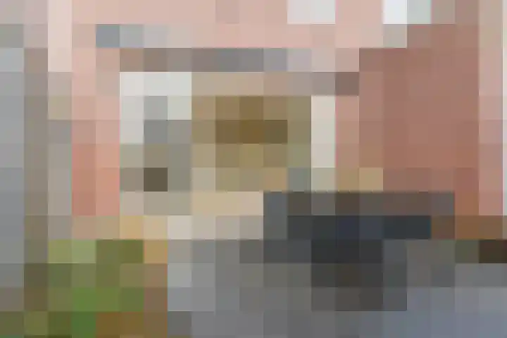 Buitenhof 27 Varik thumbnail 14