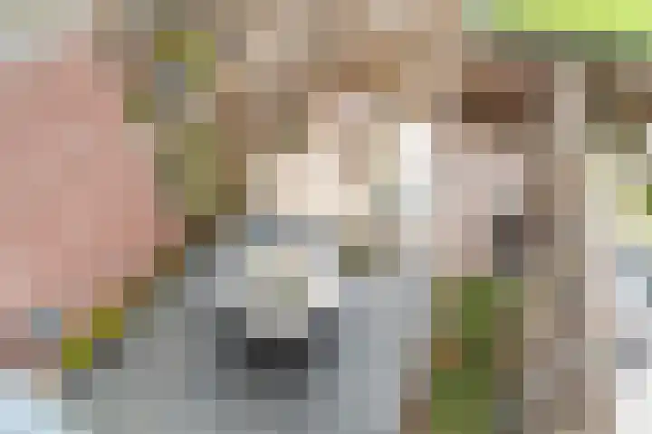 Buitenhof 27 Varik thumbnail 18