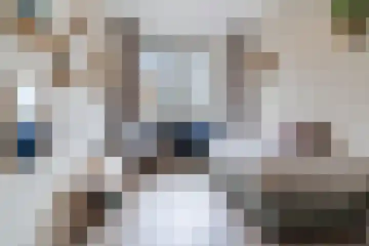 Buitenhof 27 Varik thumbnail 22