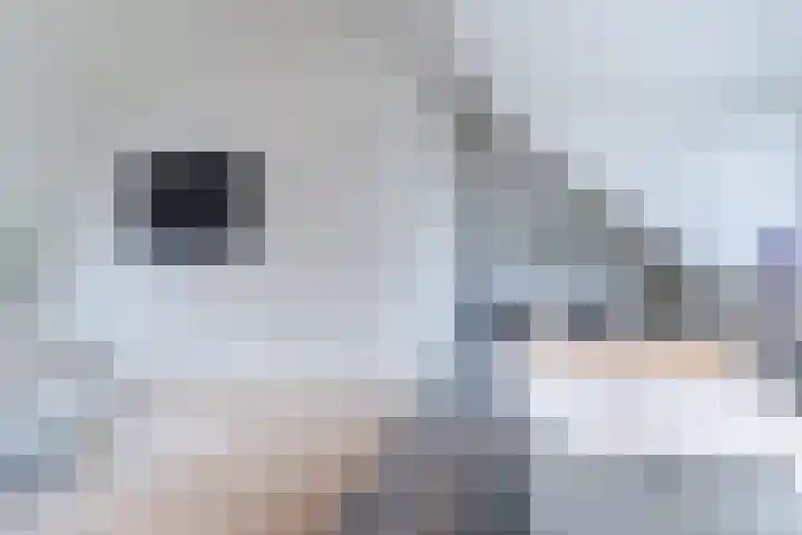 Buitenhof 27 Varik thumbnail 34