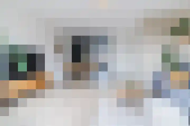 Buitenhof 27 Varik thumbnail 5