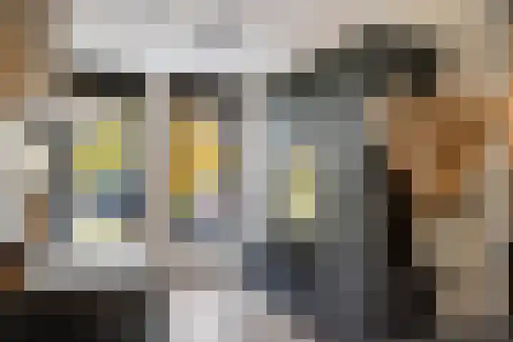 Buitenhof 32 Meteren thumbnail 10