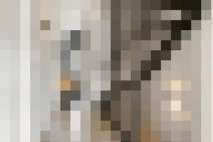 Buitenhof 32 Meteren thumbnail 19