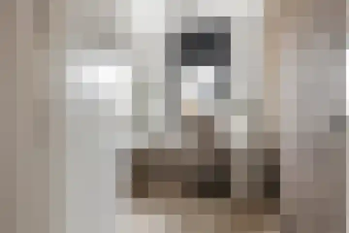 Buitenhof 32 Meteren thumbnail 22