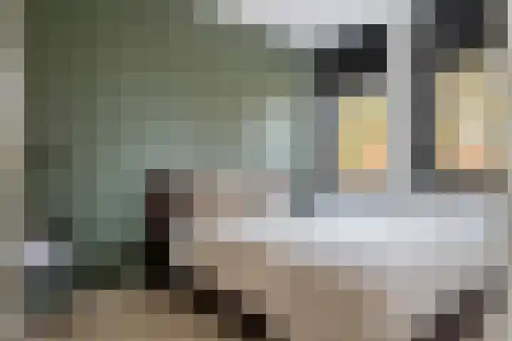 Buitenhof 32 Meteren thumbnail 23