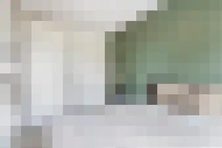 Buitenhof 32 Meteren thumbnail 25