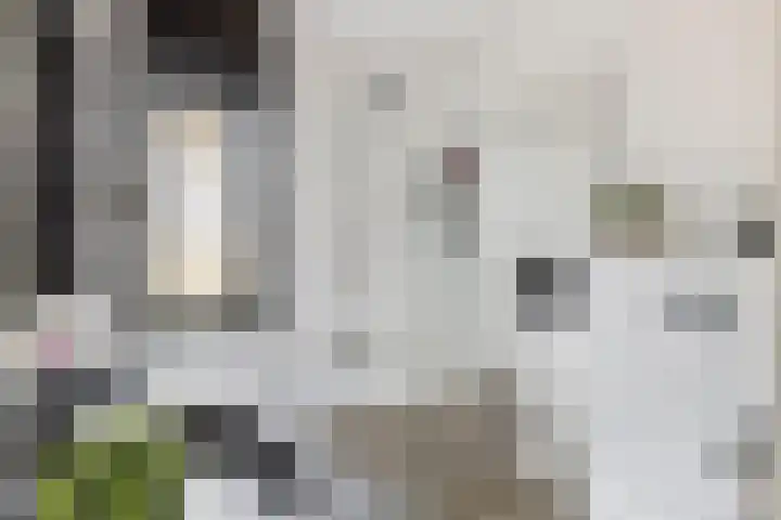 Buitenhof 32 Meteren thumbnail 26