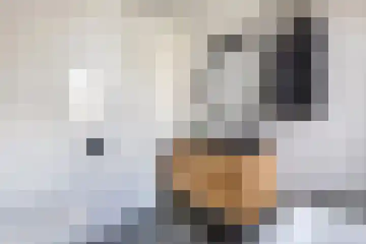Buitenhof 32 Meteren thumbnail 27
