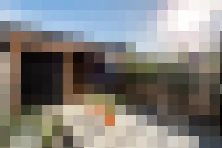 Buitenhof 32 Meteren thumbnail 32