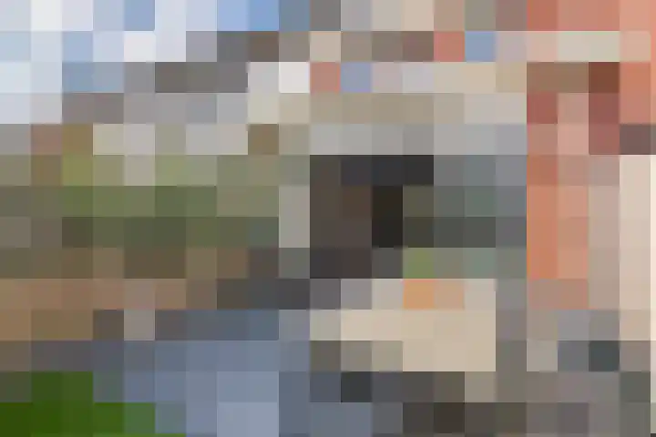 Buitenhof 32 Meteren thumbnail 34