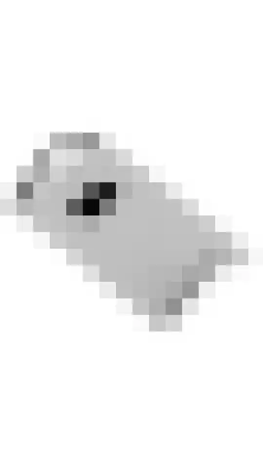 Buitenhof 32 Meteren thumbnail 45