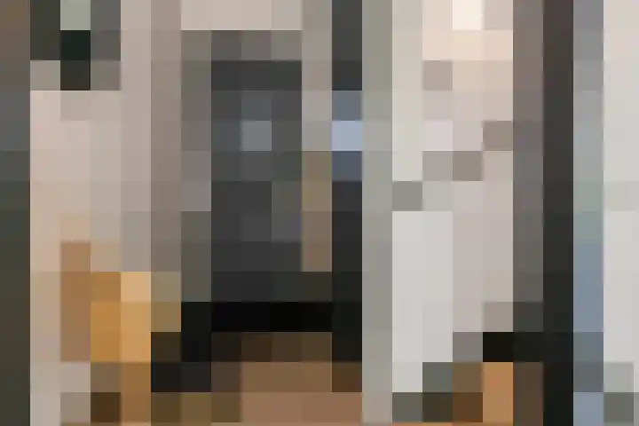Buitenhof 32 Meteren thumbnail 5