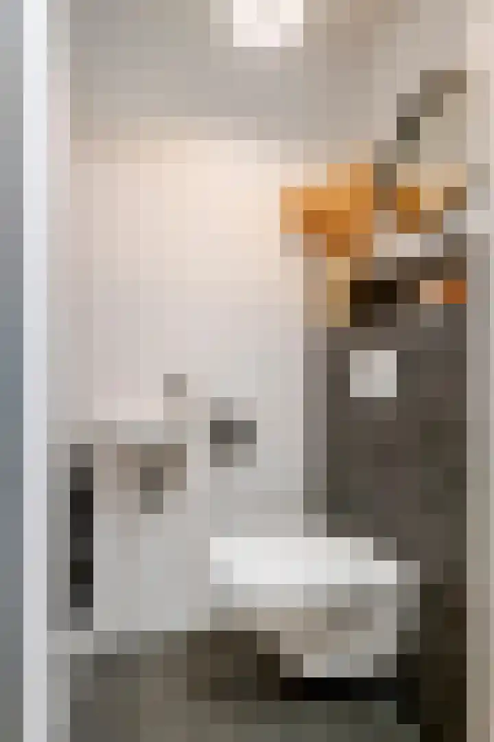 Buitenhof 32 Meteren thumbnail 7