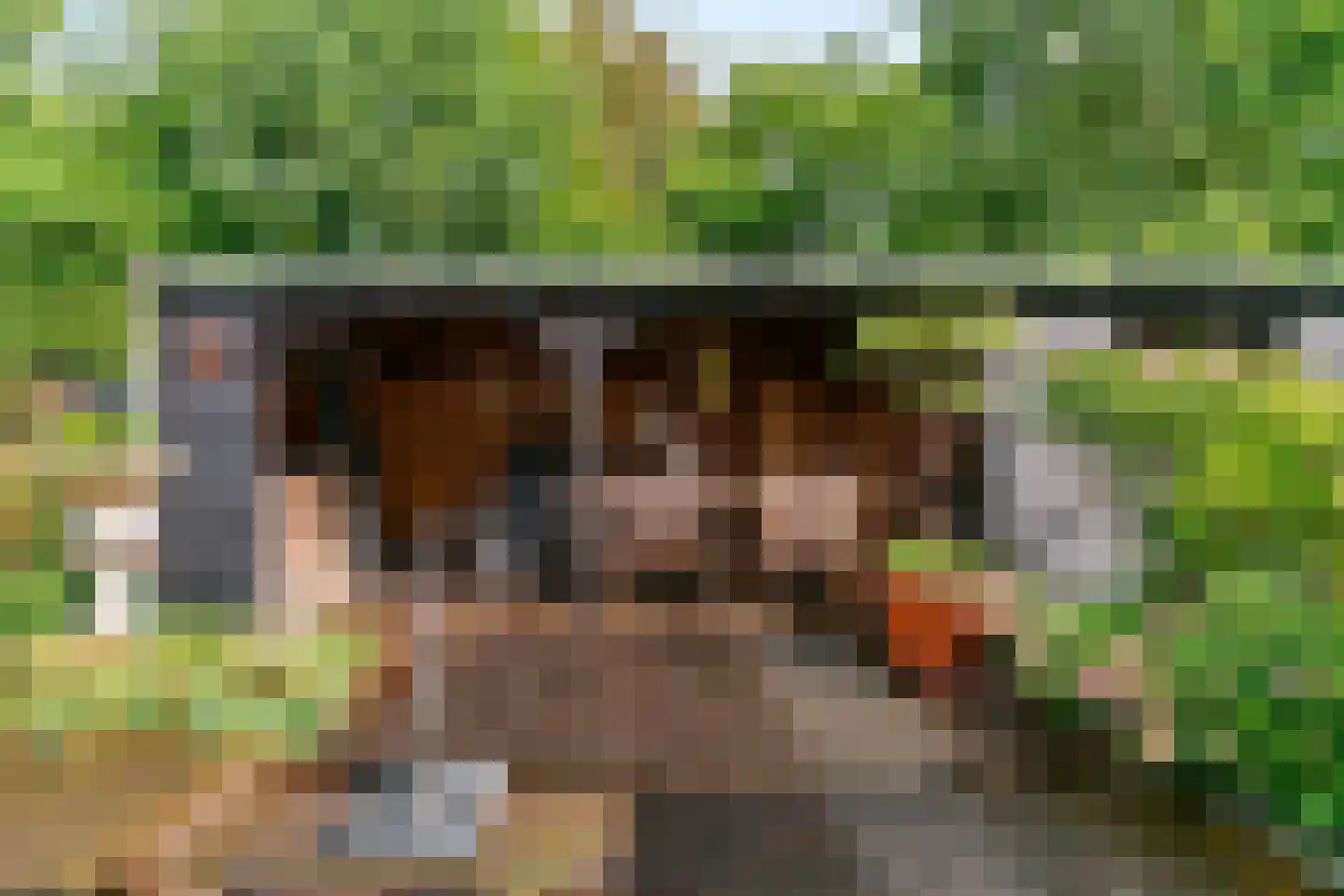 Buitenhof 33 De Goorn thumbnail 32