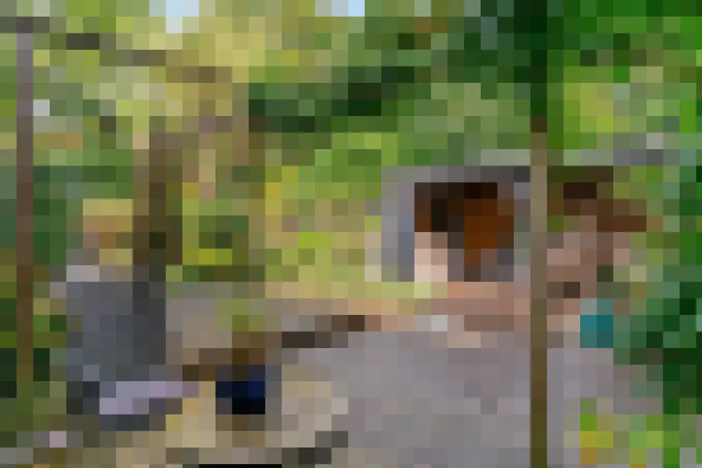 Buitenhof 33 De Goorn thumbnail 33