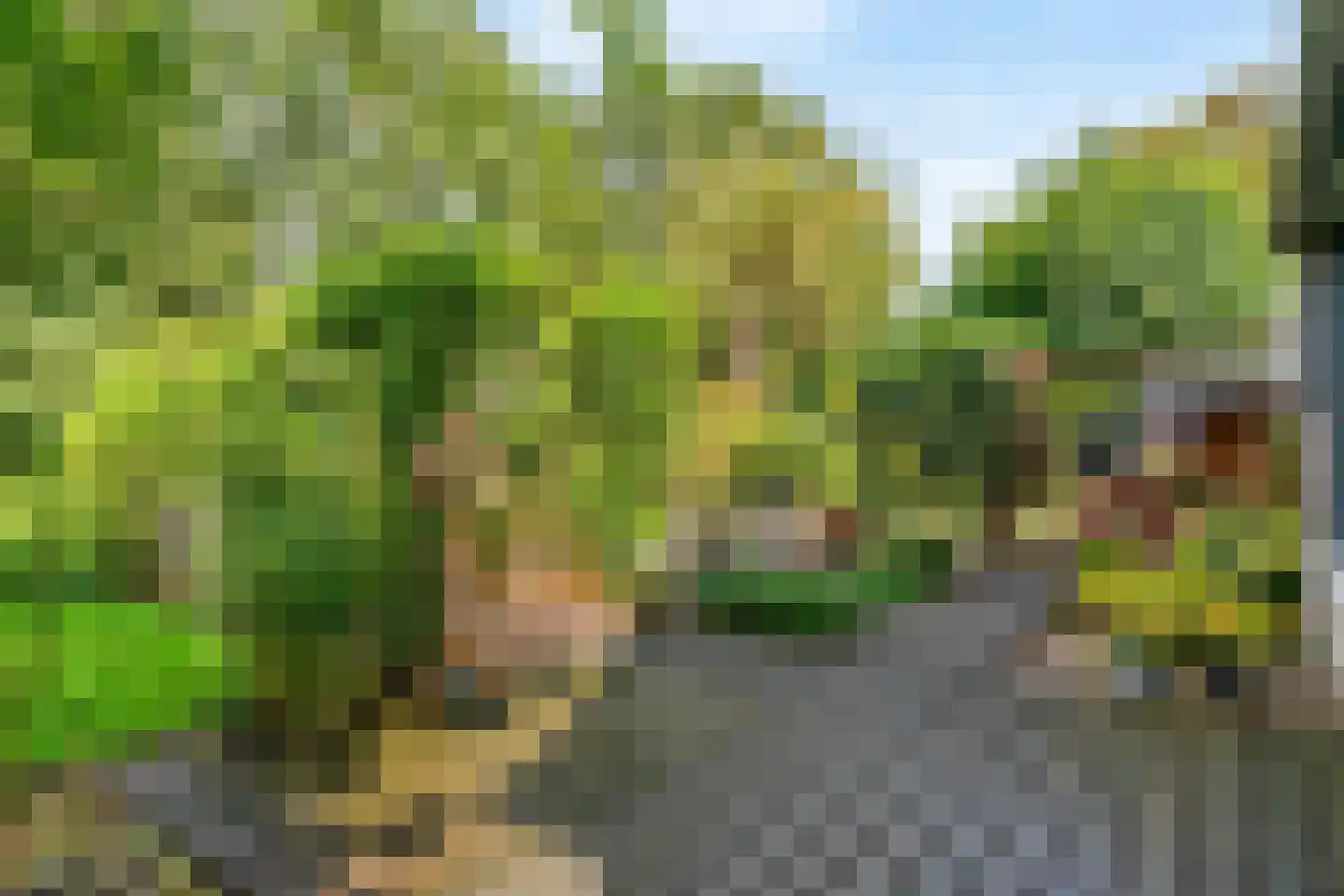 Buitenhof 33 De Goorn thumbnail 34