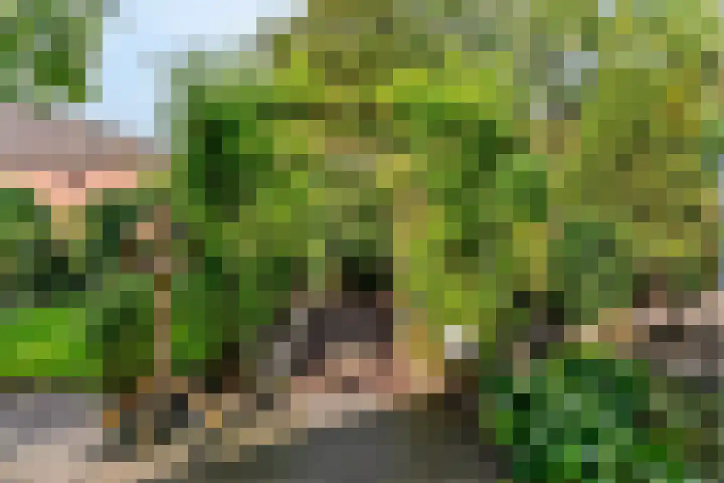 Buitenhof 33 De Goorn thumbnail 36