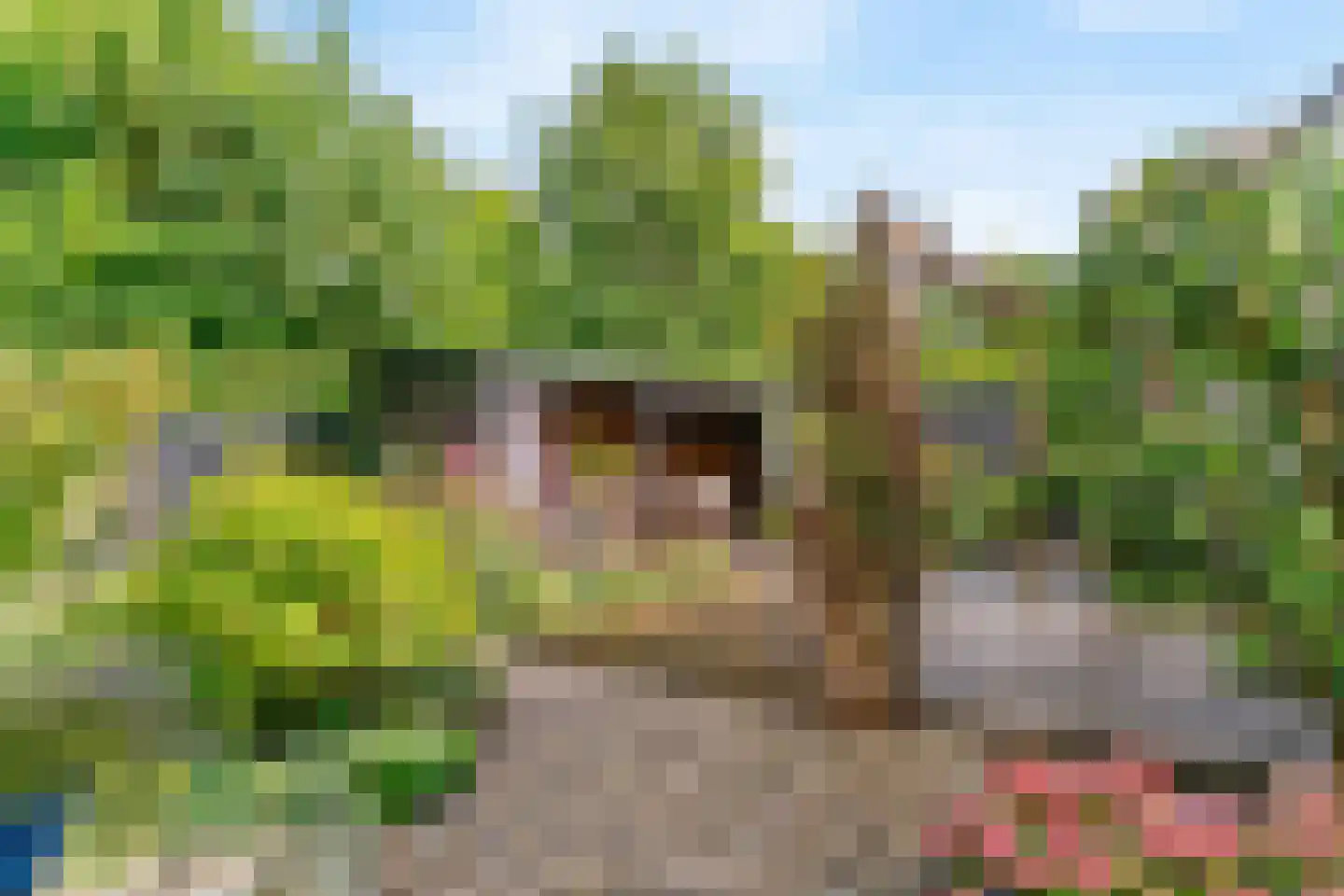 Buitenhof 33 De Goorn thumbnail 37