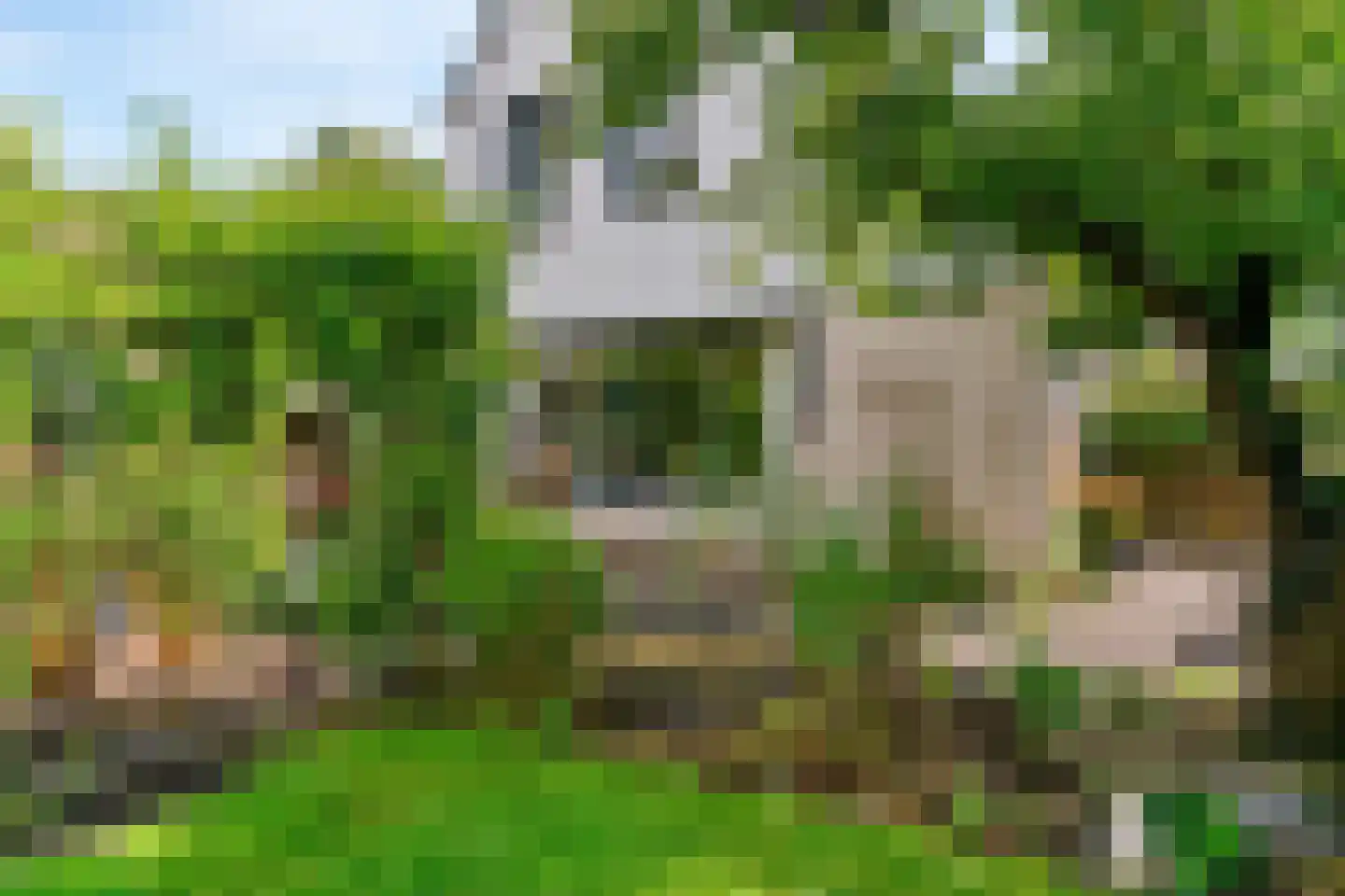 Buitenhof 33 De Goorn thumbnail 39