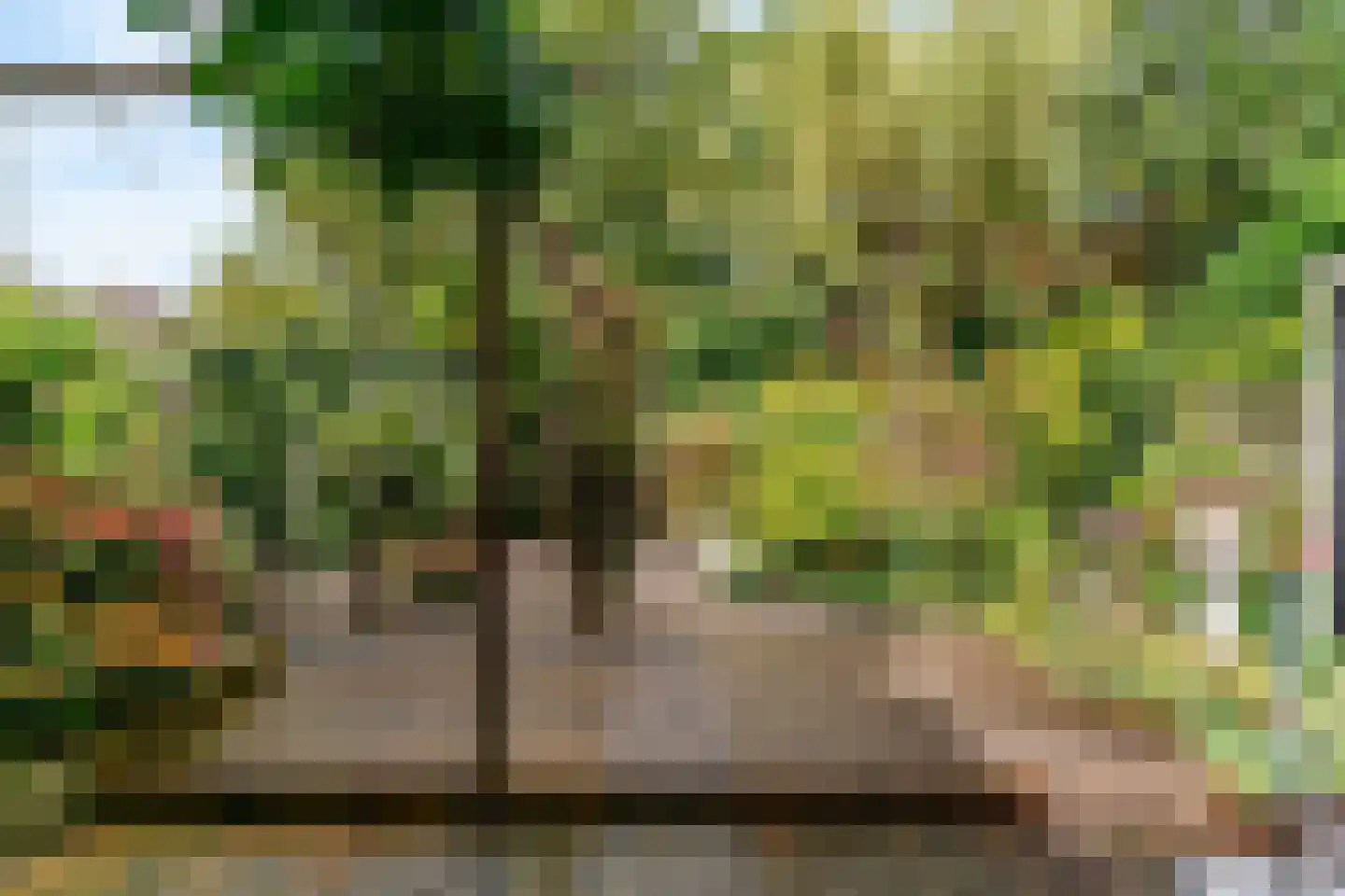 Buitenhof 33 De Goorn thumbnail 43