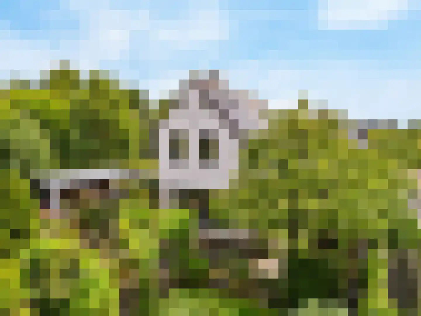 Buitenhof 33 De Goorn thumbnail 46