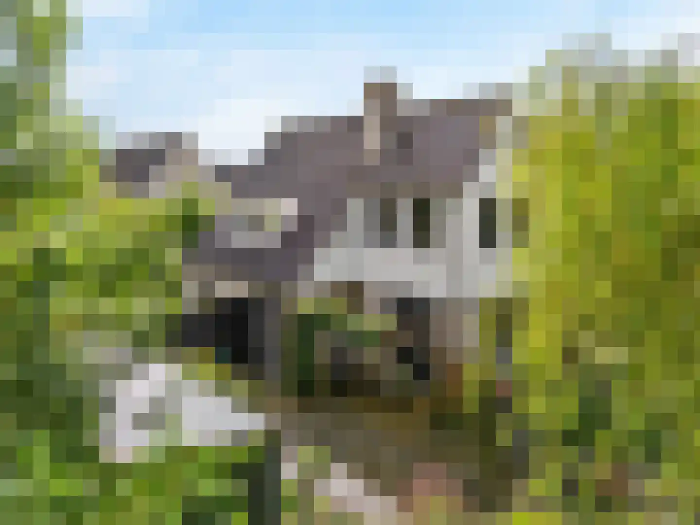 Buitenhof 33 De Goorn thumbnail 47