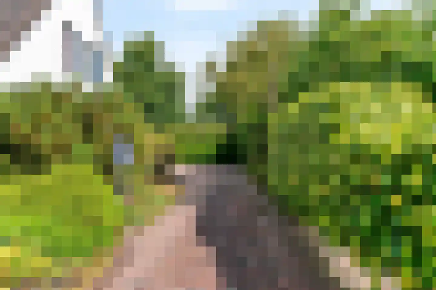 Buitenhof 33 De Goorn thumbnail 50