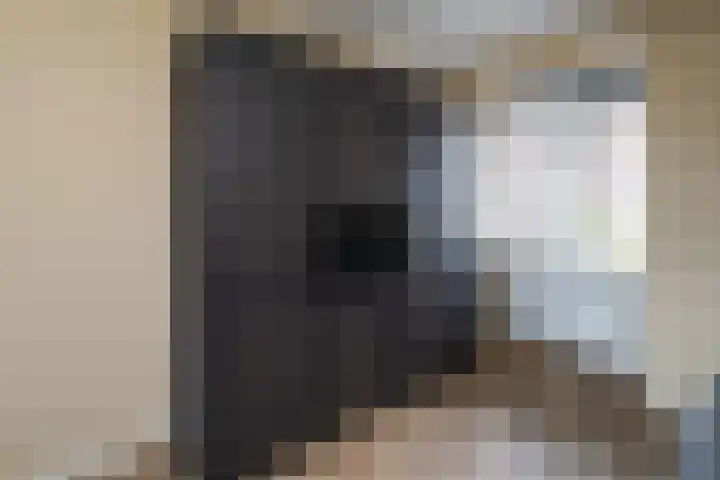 Buitenhof 34 Varik thumbnail 17