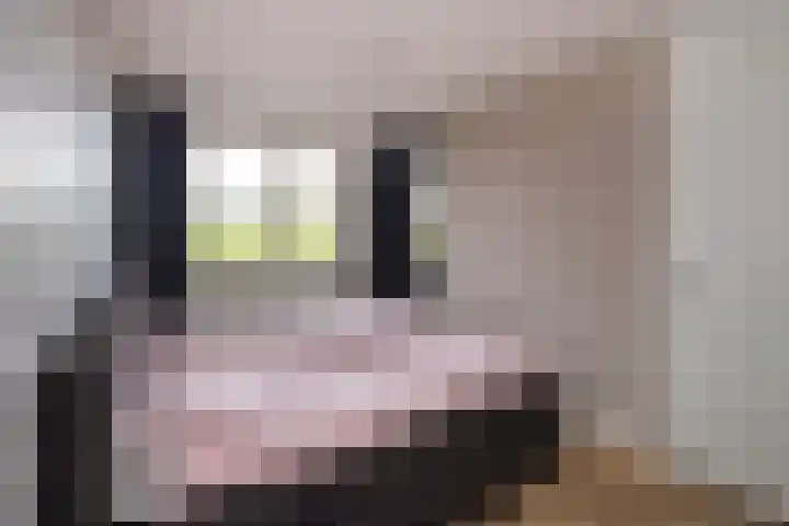 Buitenhof 34 Varik thumbnail 23