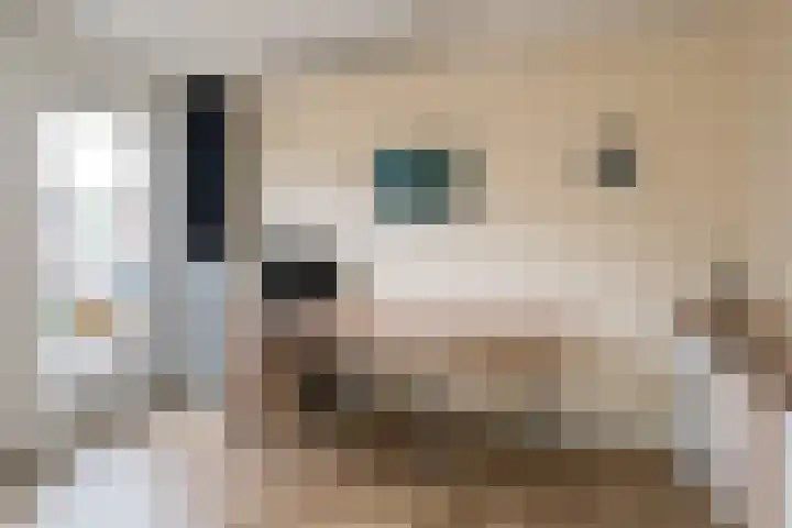 Buitenhof 34 Varik thumbnail 26