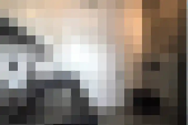 Buitenhof 34 Varik thumbnail 30