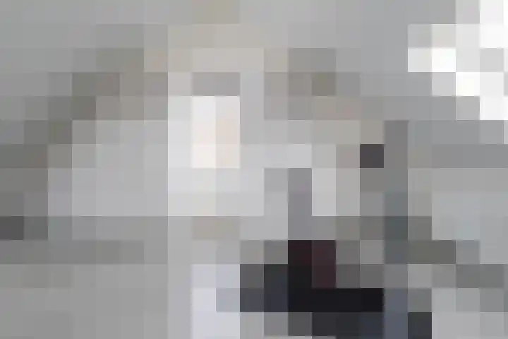 Buitenhof 34 Varik thumbnail 32
