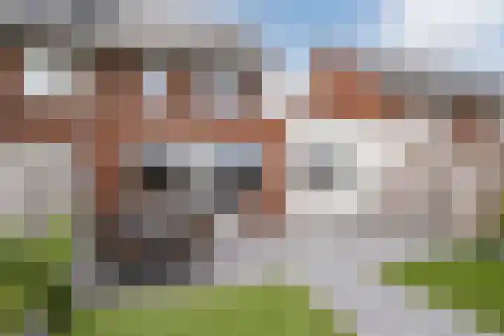 Buitenhof 34 Varik thumbnail 35