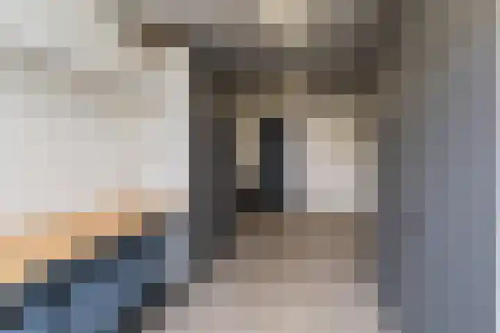 Buitenhof 34 Varik thumbnail 38