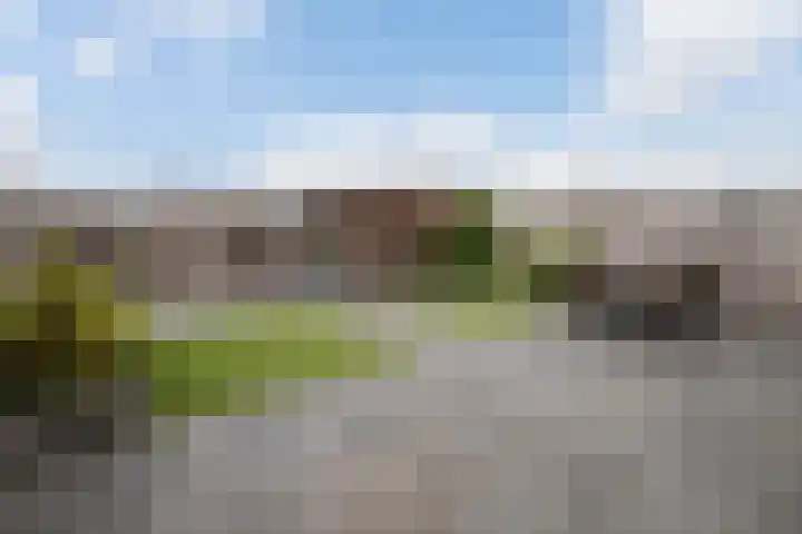 Buitenhof 34 Varik thumbnail 41