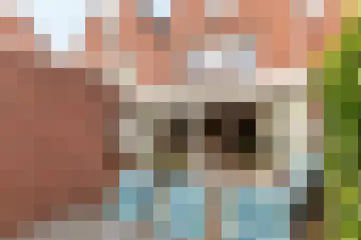 Buitenhof 37 Almere thumbnail 27