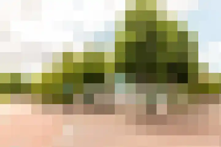 Buitenhof 37 Almere thumbnail 32