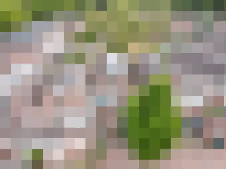 Buitenhof 37 Almere thumbnail 33