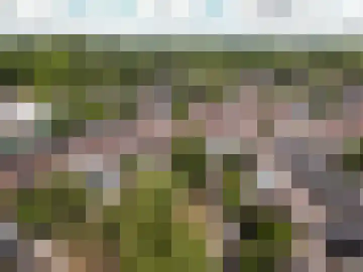 Buitenhof 37 Almere thumbnail 35