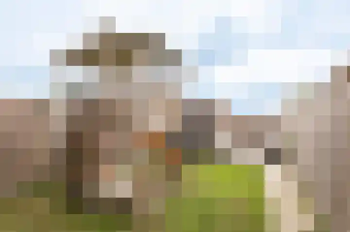 Buitenhof 38 Varik thumbnail 19