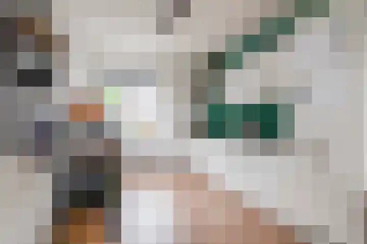 Buitenhof 38 Varik thumbnail 5