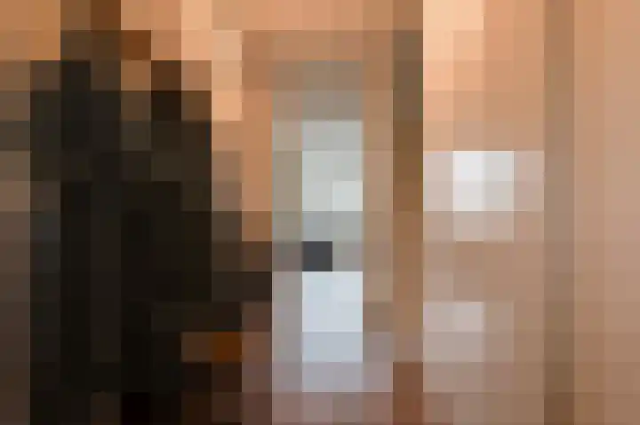 Buitenhof 38 Varik thumbnail 8