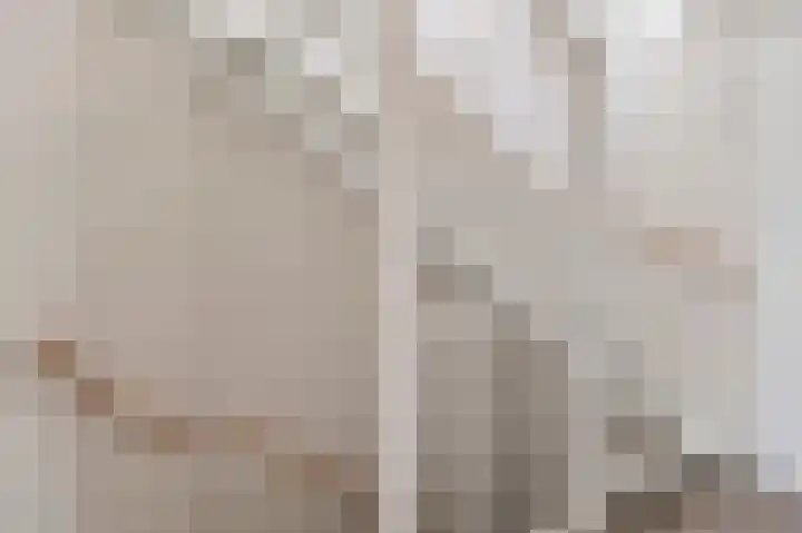 Buitenhof 39 Varik thumbnail 19