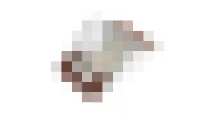 Buitenhof 39 Varik thumbnail 33