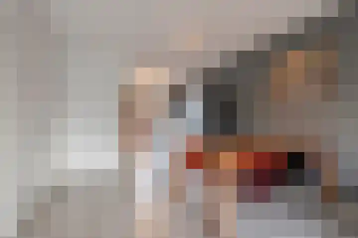 Buitenhof 39 Varik thumbnail 8