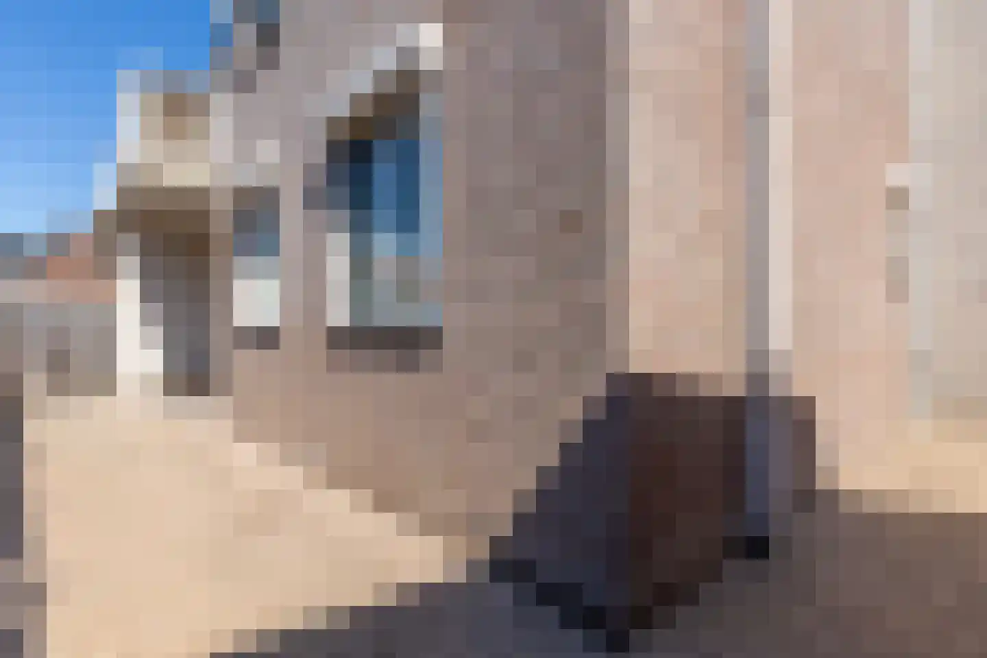 Buitenhof 4 Lopik thumbnail 32