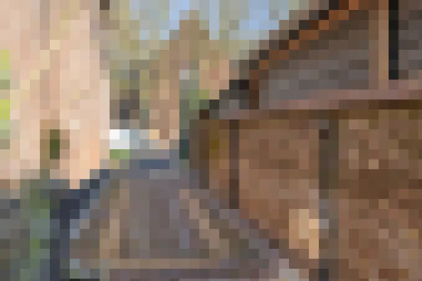 Buitenhof 4 Lopik thumbnail 43